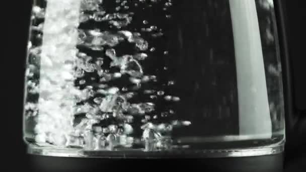 Dans une bouilloire électrique avec des murs transparents, l'eau bout. Les bulles montent du bas — Video