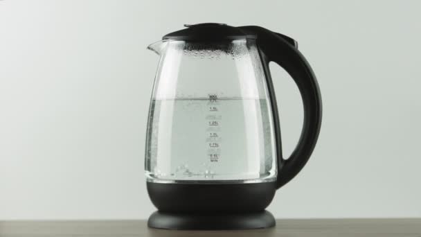 Electric kettle with transparent walls and measuring scale. Start of boil. Concept — Stock Video