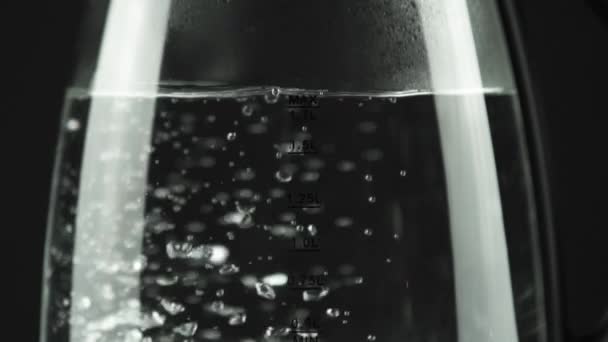 透明なガラス壁の電気ケトルでは、水が沸騰します。物理的プロセス — ストック動画