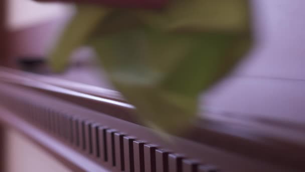 Pokojská utírá dřevěný panel se zeleným mikrovláknem v luxusním hotelovém pokoji. — Stock video