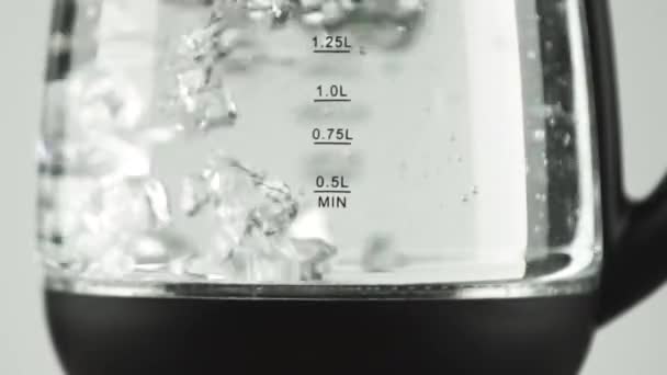 Elektrisk vattenkokare med glasväggar och rostfri botten. Aktivt kokande vatten — Stockvideo