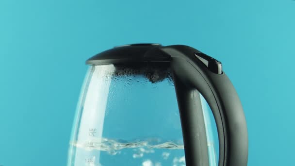 En vattenkokare med transparenta väggar. Kokande vatten. Bubblor. Närbild — Stockvideo