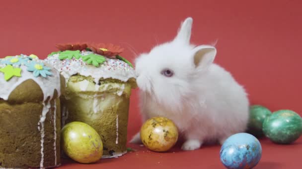 Kleiner Hase frisst Osterkuchen, bunt verzierte Eier. Roter Hintergrund