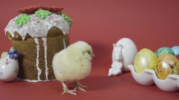 Pollito, pastel de Pascua, conejito y coloridos huevos decorados. Fondo rojo — Vídeo de stock