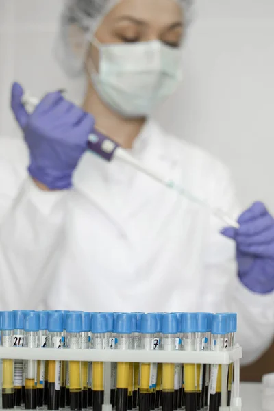 Νοσοκόμα προσθέτει υγρό στο σωλήνα εξέτασης αίματος με πιπέττα σε ερευνητικό εργαστήριο — Φωτογραφία Αρχείου