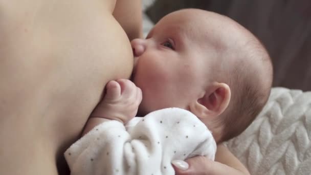 Concepto de lactante. Madre alimentando al recién nacido. Bebé comiendo leche — Vídeos de Stock