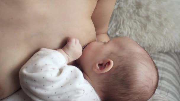 Suckling milk from breast, maternity. Motherhood concept. Mother feeding Newborn — Stock Video