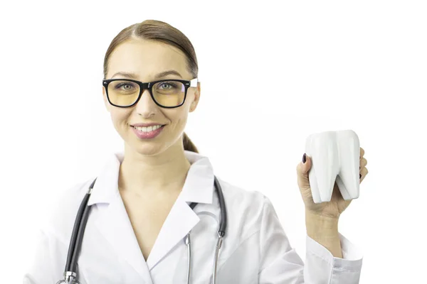 Porträt einer jungen Krankenschwester in medizinischem Gewand mit Zahnmodell und Lächeln. — Stockfoto
