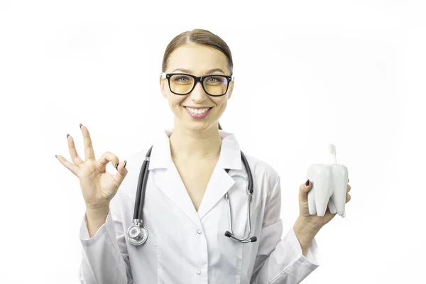 Junge sexy Ärztin im weißen Arztkittel zeigt Zahnmodell und OK-Geste — Stockfoto