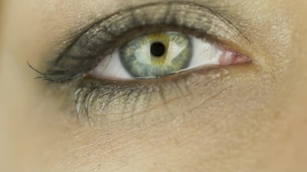 Ett uttrycksfullt kvinnligt grönt öga med smink som ser uppriktigt ut framför kameran. Närbild — Stockvideo