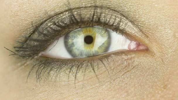 Um olho expressivo com maquiagem. Mulher branca a olhar para a câmara. Close-up — Vídeo de Stock