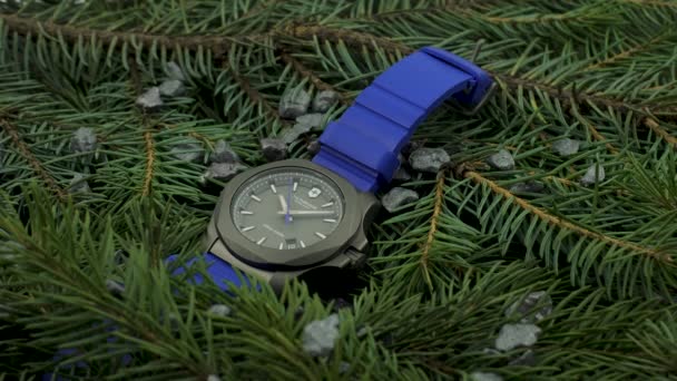 Ibach, Szwajcaria 7.04.2020 - Victorinox Man zegarek ze stali nierdzewnej futerał gumowy pasek leżący na gałęziach iglastych — Wideo stockowe