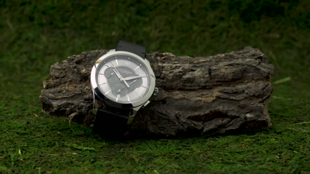 Ibach, Svizzera 7.04.2020 - Victorinox Uomo orologio cassa in acciaio su pezzo di legno squallido sullo sfondo di muschio verde — Video Stock