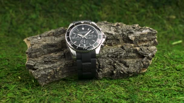 Ibach, Szwajcaria 7.04.2020 - Victorinox Man watch stainless steel case black clock face dial on piece of shabby wood on background of green mess — Wideo stockowe