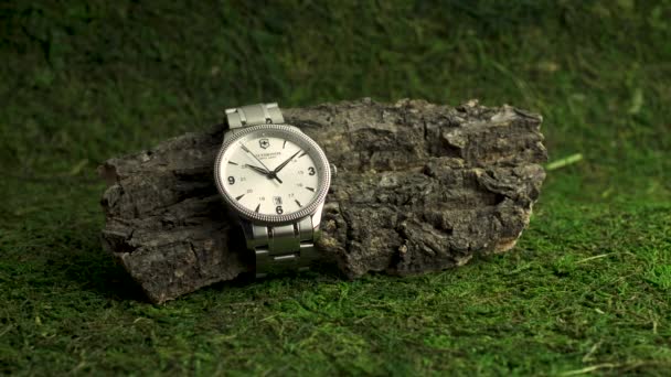 Ibach, Suiza 7.04.2020 - Victorinox Hombre reloj caja de acero inoxidable esfera de reloj blanco brazalete de acero inoxidable en pieza de madera en mal estado sobre fondo de musgo verde — Vídeo de stock