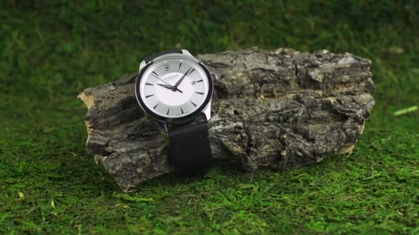 Ibach, Szwajcaria 7.04.2020 - Victorinox Man watch stainless steel case white clock face dial rubber strap on piece of shabby wood on background of green mess — Wideo stockowe