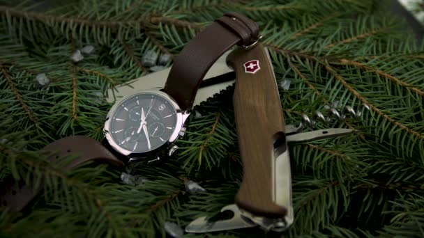 Ibach, Suiza 7.04.2020 - Victorinox Hombre reloj caja de acero inoxidable con cuchillo suizo del ejército acostado en ramas de coníferas — Vídeo de stock