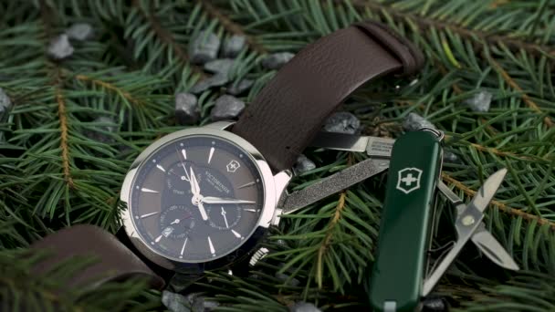 Ibach, Švýcarsko 7.04.2020 - Victorinox Man hodinky nerezové pouzdro se švýcarským armádním nožem ležícím na jehličnatých větvích — Stock video