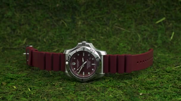 Ibach, Schweiz 7.04.2020 - Victorinox Herrenuhr Edelstahlgehäuse Kautschukband auf grünem Moos liegend — Stockvideo