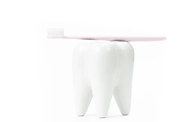 Stojan na kartáčky ve tvaru primárního stoličkového zubu se zubním kartáčkem — Stock fotografie