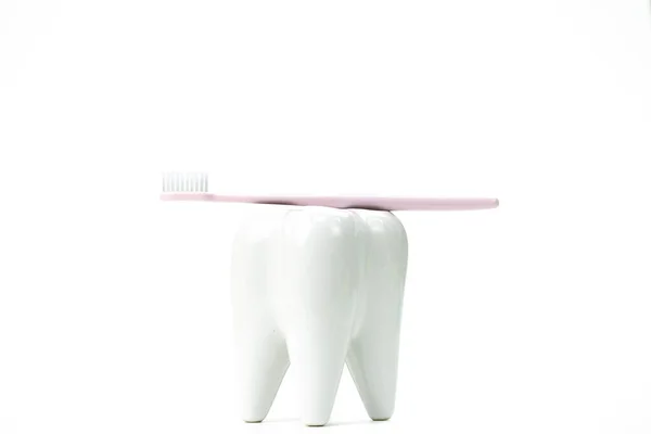 Stojan na kartáčky ve tvaru primárního stoličkového zubu se zubním kartáčkem — Stock fotografie