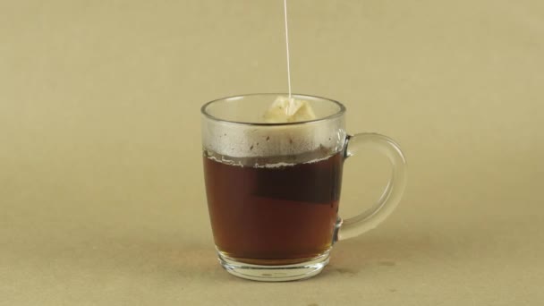 Zwarte theezakje tillen en laten vallen in glas transparante mok om thee te zetten geïsoleerd op beige achtergrond slow motion close-up . — Stockvideo
