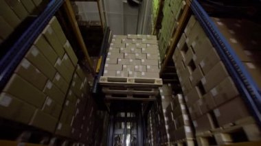 Forklift karton kutularla dolu paletleri taşır.