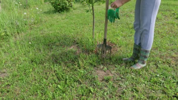 Жінка садівник в гумових чоботях надягає садові рукавички і бере лопату і копає землю, грунт — стокове відео