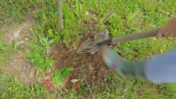 Pessoa em wellington botas de borracha cavar um solo, chão com uma pá — Vídeo de Stock