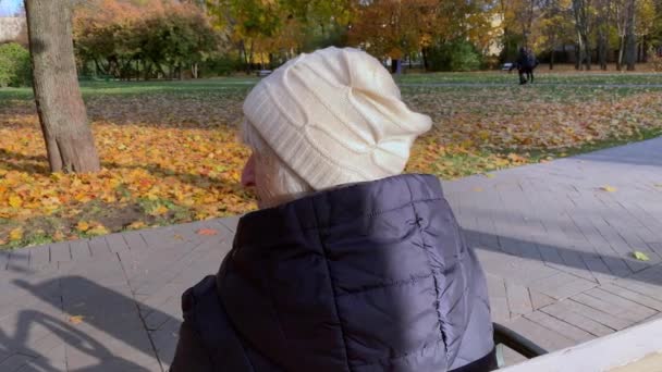 Idősebb nő meleg ruhában ül egy padon egy gyönyörű színes őszi parkban. — Stock videók