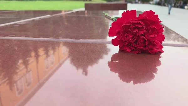 Red carnation flower laying on a stone granite plate near the monument of unknown soldier and eternal flame as a symbol of victory and heroism in great patriotic war on memorial day.