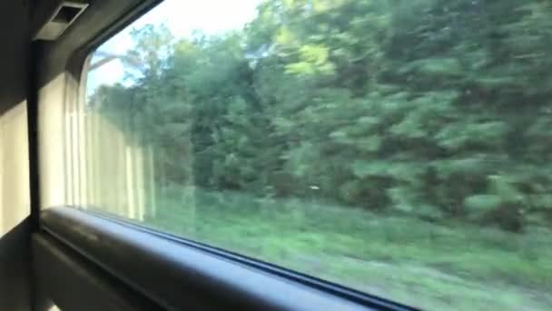 View, scenery from the window of a moving train with green landscape — ストック動画