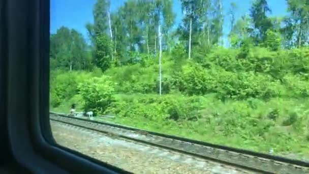 Vista, paesaggio dalla finestra di un treno in movimento con paesaggio verde — Video Stock