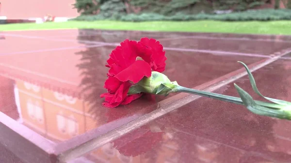 Rote Nelkenblume auf einer steinernen Granitplatte in der Nähe des Denkmals des unbekannten Soldaten und der ewigen Flamme als Symbol des Sieges und des Heldentums im großen patriotischen Krieg am Gedenktag. — Stockfoto