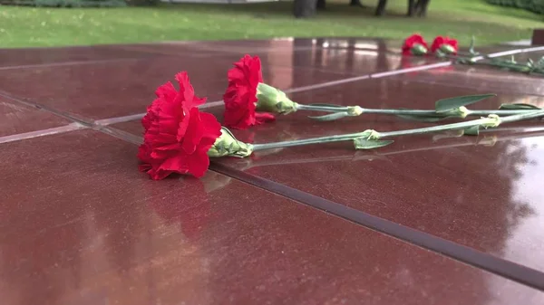 Červená karafiátová květina ležící na kamenné žulové desce poblíž pomníku neznámého vojáka a věčného plamene jako symbol vítězství a hrdinství ve velké vlastenecké válce v den pomníku. — Stock fotografie