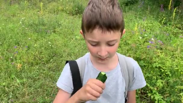 Portrait d'un garçon préadolescent affamé marchant dans un champ vert, prairie et mangeant un délicieux concombre cru sur la route en été, randonnée insouciante garçon 