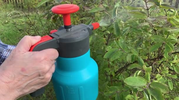 Vrouw Tuinier Sproeien Fruitbomen Struiken Tegen Plantenziekten Plagen Met Behulp — Stockvideo