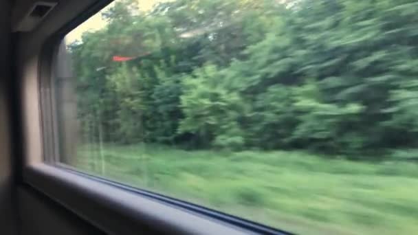 Vue Paysage Depuis Fenêtre Train Mouvement Avec Paysage Verdoyant — Video