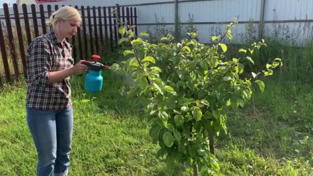 Žena Zahradník Postřik Ovocné Stromy Keře Proti Chorobám Rostlin Škůdci — Stock video