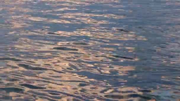 Lugnt havsvatten vid sommarsolnedgången, solreflektion över vattenytan med små vågor — Stockvideo