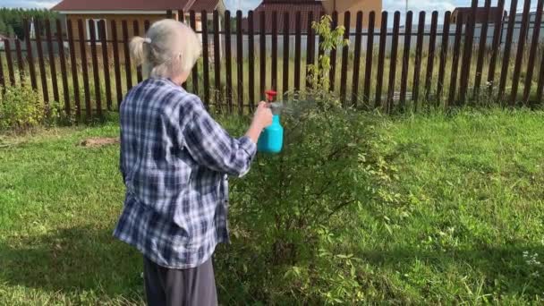 Mujer jardinero rociando árboles frutales y arbustos contra enfermedades de las plantas y plagas usando una botella pulverizadora con solución insecticida en el jardín — Vídeo de stock