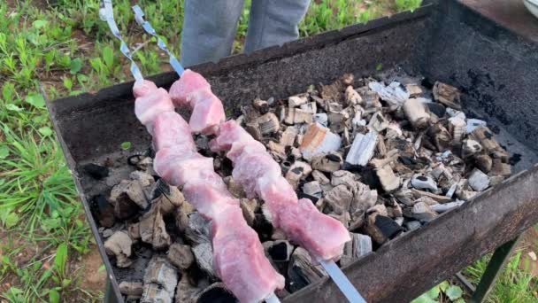 Een persoon koken vlees kebab bereiden op een barbecue grill vuur in de tuin, achtertuin, de rook en warmte er — Stockvideo