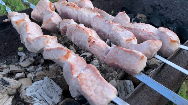 Mięsny kebab przygotowujący na grillu ognisko w ogrodzie, podwórku, dym i ciepło tam — Zdjęcie stockowe