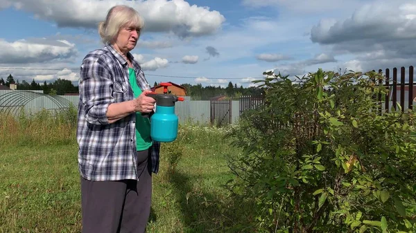 Mujer jardinero rociando árboles frutales y arbustos contra enfermedades de las plantas y plagas usando una botella pulverizadora con solución insecticida en el jardín — Foto de Stock