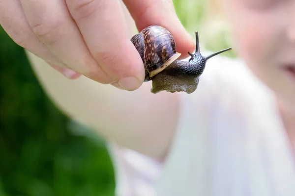 Une fille souriante et méconnaissable tenant à la main un escargot comestible Fructicicola fruticum, heure d "été — Photo