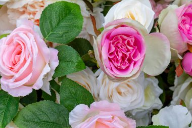 Sahte pembe ve beyaz gül arka planı.