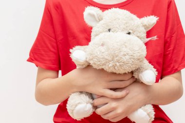 Kırmızı tişörtlü bir çocuk oyuncak ayıya sarılıyor.