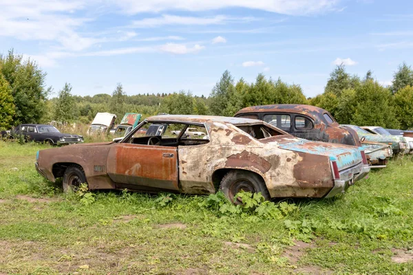 Old abandoned rusty vehicles, crushed cars in scrapyard, junk yard needed to be utilised and reused to protect nature and environment, metal recycling concept — Stock Photo, Image