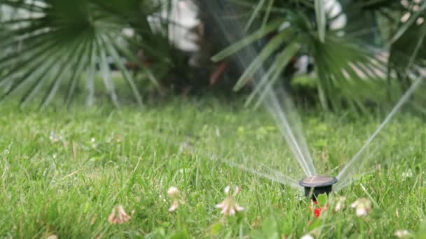 Automatisches Bewässerungssystem, Rasensprenger im Einsatz, der Gras und Pflanzen wässert. — Stockvideo