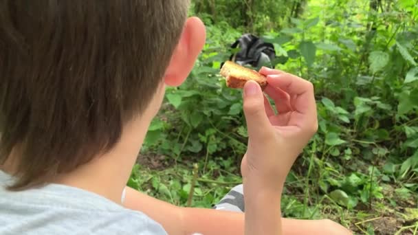 Ένα πορτρέτο ενός κουρασμένου πεινασμένου τουρίστα αγοριού, πεζοπόρος αναπαύεται στο δάσος και τρώει μπισκότα. — Αρχείο Βίντεο